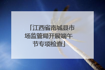 江西省南城县市场监管局开展端午节专项检查