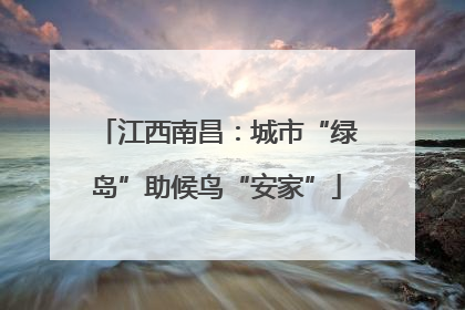 江西南昌：城市“绿岛”助候鸟“安家”
