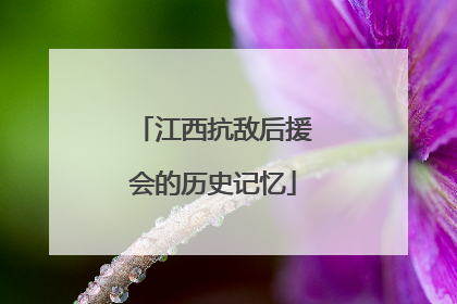 江西抗敌后援会的历史记忆