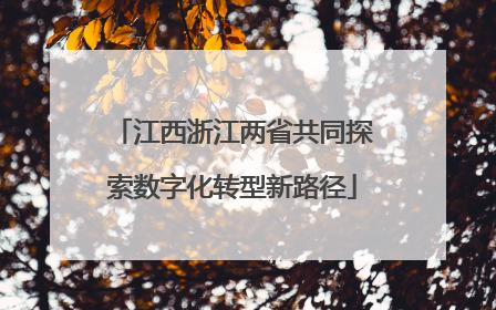 江西浙江两省共同探索数字化转型新路径