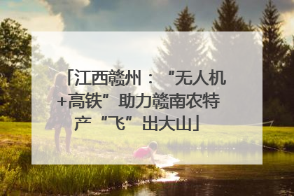 江西赣州：“无人机+高铁”助力赣南农特产“飞”出大山