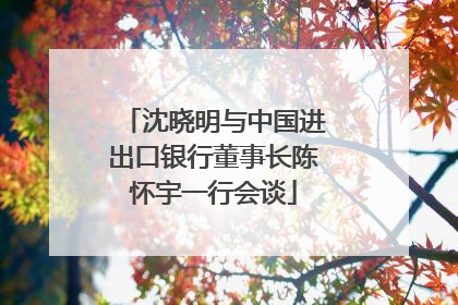 沈晓明与中国进出口银行董事长陈怀宇一行会谈