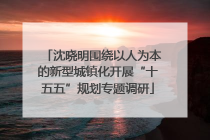 沈晓明围绕以人为本的新型城镇化开展“十五五”规划专题调研
