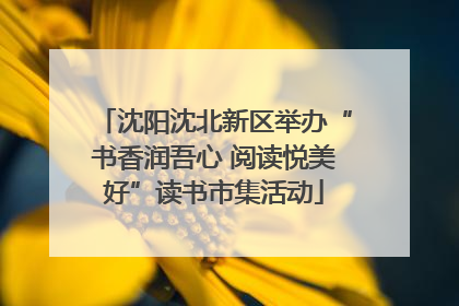 沈阳沈北新区举办“书香润吾心 阅读悦美好”读书市集活动