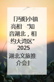 沔阳小镇亮相 “知音湖北，相约大湾区” 2025湖北文旅推介会