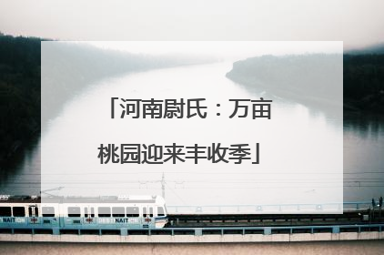 河南尉氏：万亩桃园迎来丰收季