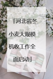 河北省冬小麦大规模机收工作全面启动