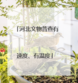 河北文物普查有速度、有温度