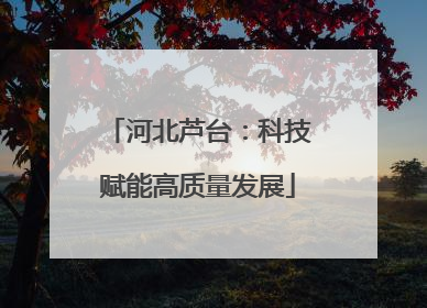 河北芦台：科技赋能高质量发展