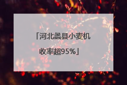 河北蠡县小麦机收率超95%