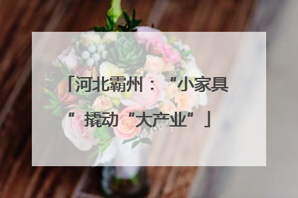 河北霸州：“小家具”撬动“大产业”