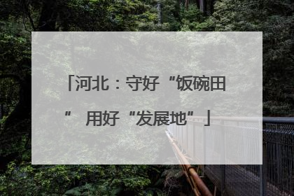 河北：守好“饭碗田” 用好“发展地”