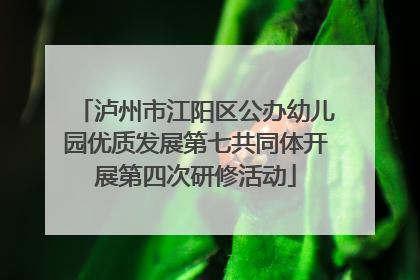 泸州市江阳区公办幼儿园优质发展第七共同体开展第四次研修活动