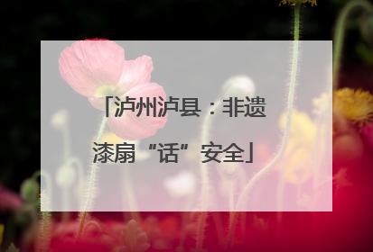 泸州泸县：非遗漆扇“话”安全