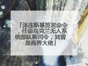 泽连斯基签署命令，任命乌克兰无人系统部队新司令，其曾是商界大佬