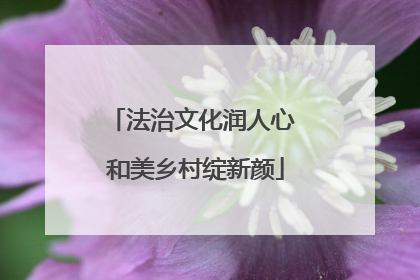 法治文化润人心 和美乡村绽新颜