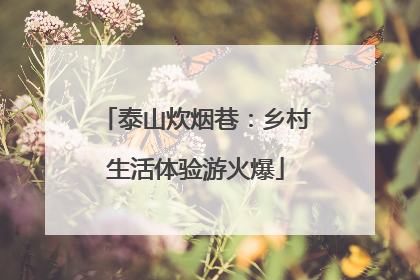泰山炊烟巷：乡村生活体验游火爆