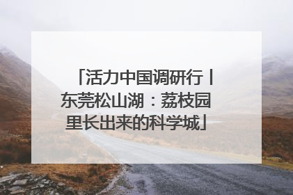 活力中国调研行丨东莞松山湖：荔枝园里长出来的科学城