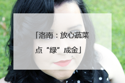 洛南：放心蔬菜点“绿”成金