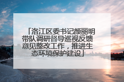洛江区委书记颜丽明带队调研督导巡视反馈意见整改工作，推进生态环境保护建设
