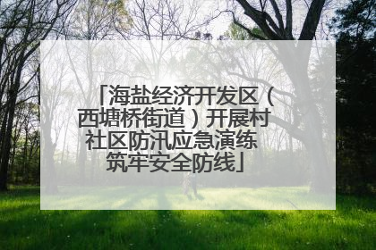 海盐经济开发区（西塘桥街道）开展村社区防汛应急演练 筑牢安全防线