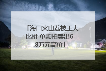 海口火山荔枝王大比拼 单颗拍卖出6.8万元高价