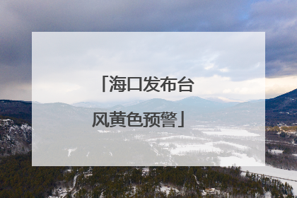 海口发布台风黄色预警