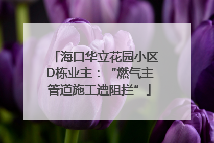 海口华立花园小区D栋业主：“燃气主管道施工遭阻拦”