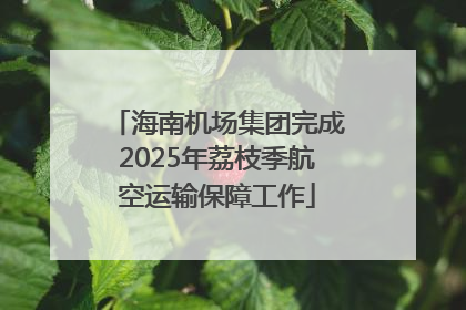 海南机场集团完成2025年荔枝季航空运输保障工作