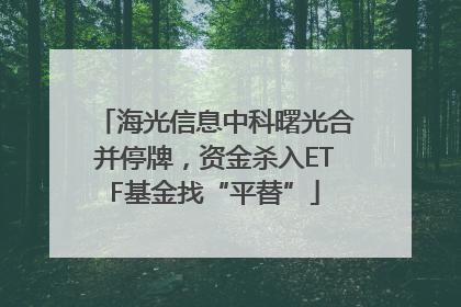 海光信息中科曙光合并停牌，资金杀入ETF基金找“平替”