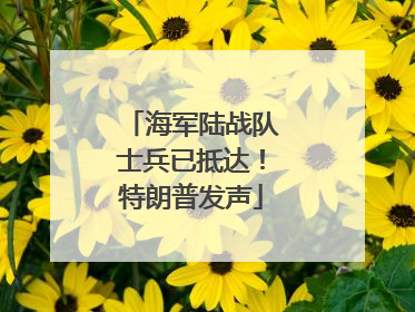 海军陆战队士兵已抵达！特朗普发声