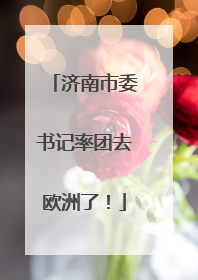 济南市委书记率团去欧洲了！