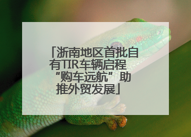 浙南地区首批自有TIR车辆启程 “购车远航”助推外贸发展