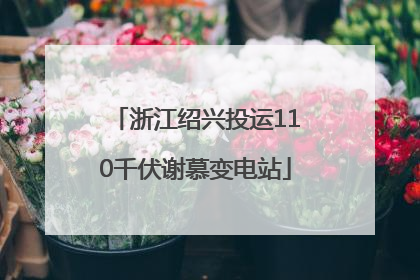浙江绍兴投运110千伏谢慕变电站