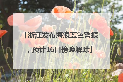 浙江发布海浪蓝色警报，预计16日傍晚解除