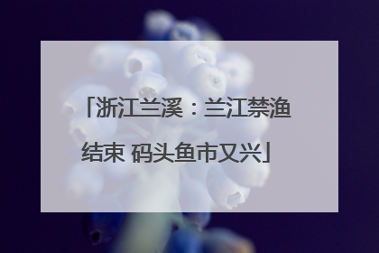 浙江兰溪：兰江禁渔结束 码头鱼市又兴