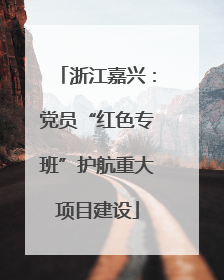 浙江嘉兴：党员“红色专班”护航重大项目建设