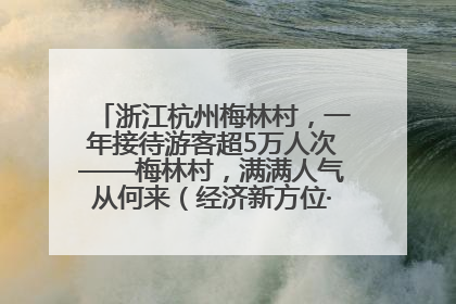 浙江杭州梅林村，一年接待游客超5万人次——梅林村，满满人气从何来（经济新方位·农村消费观察）