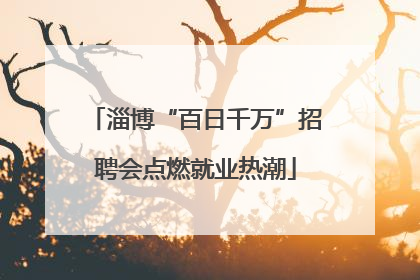 淄博“百日千万”招聘会点燃就业热潮