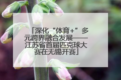 深化“体育+”多元跨界融合发展——江苏省首届匹克球大赛在无锡开赛