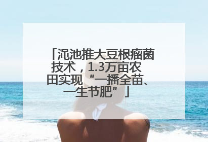 渑池推大豆根瘤菌技术，1.3万亩农田实现“一播全苗、一生节肥”