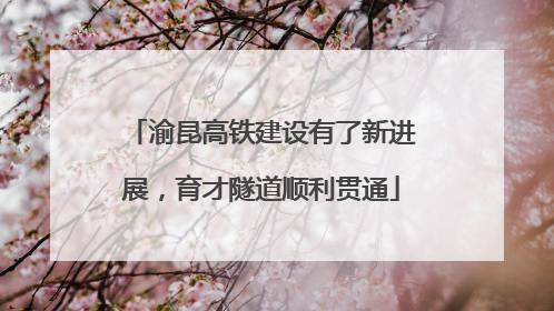 渝昆高铁建设有了新进展，育才隧道顺利贯通