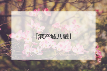 港产城共融