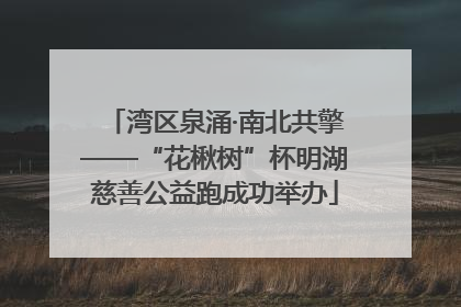 湾区泉涌·南北共擎——“花楸树”杯明湖慈善公益跑成功举办