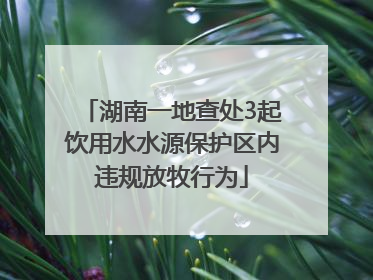 湖南一地查处3起饮用水水源保护区内违规放牧行为