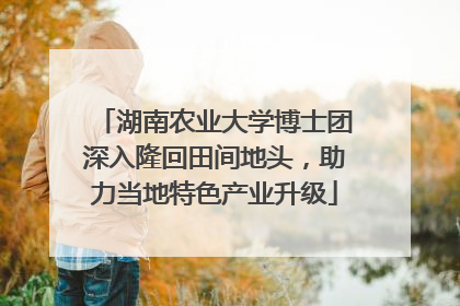 湖南农业大学博士团深入隆回田间地头，助力当地特色产业升级