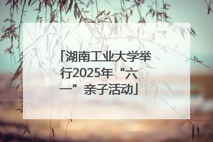 湖南工业大学举行2025年“六一”亲子活动