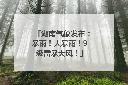 湖南气象发布：暴雨！大暴雨！9级雷暴大风！