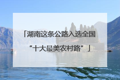 湖南这条公路入选全国“十大最美农村路”