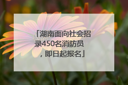 湖南面向社会招录450名消防员，即日起报名